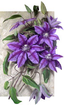 Giclee Painting
