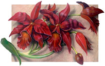 Giclee Painting