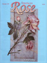 Magazine